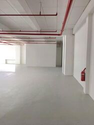 Perfect One (D13), Warehouse #554776461